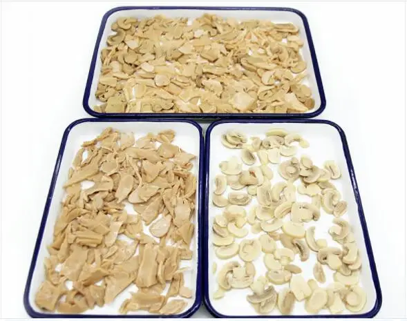 
hibiscus mushroom wholesale mushroom prices canned 