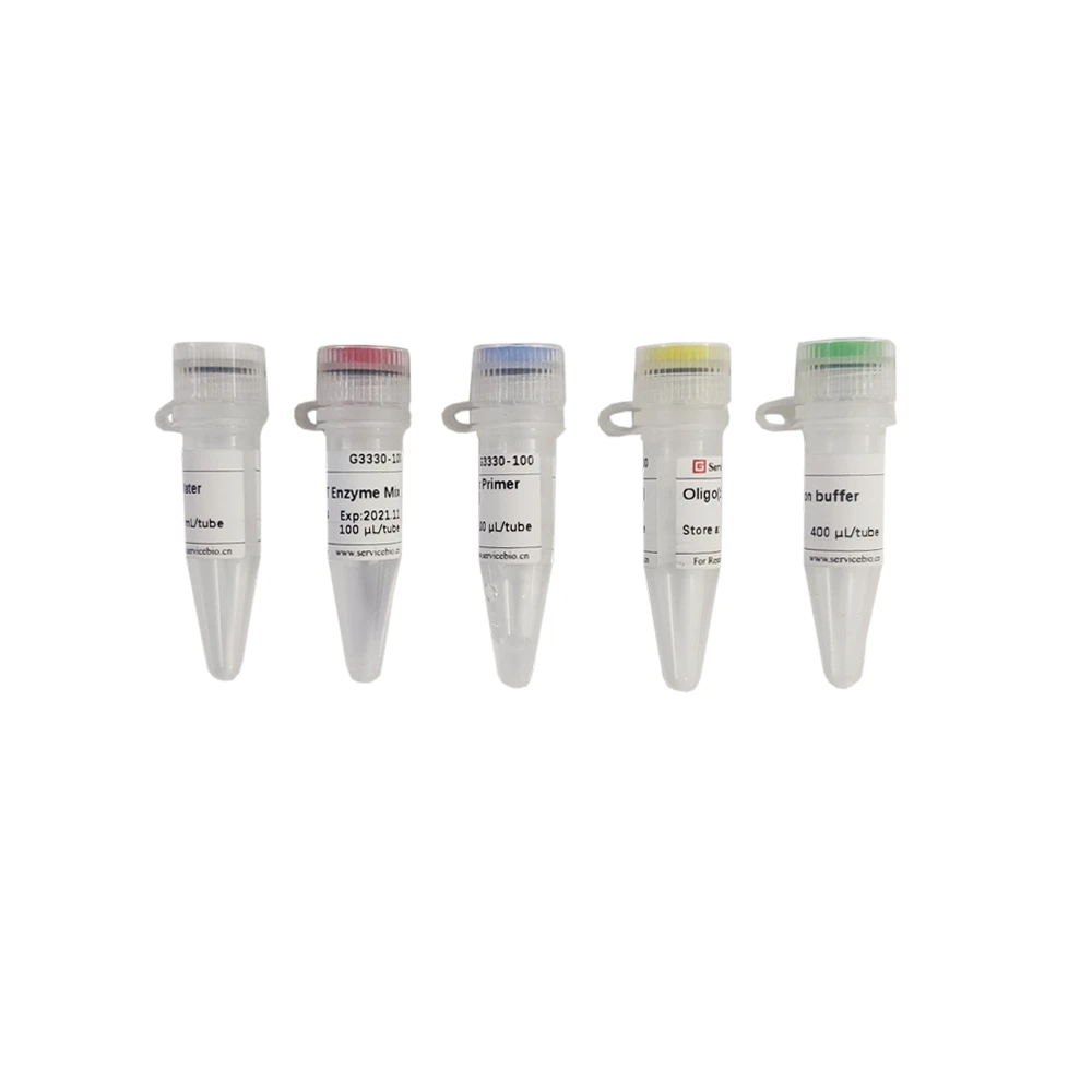 SweScript RT I First Strand cDNA Synthesis Kit