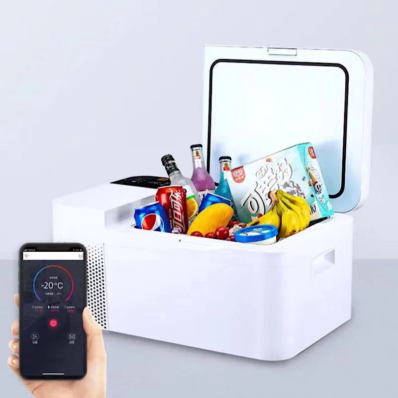 portable refrigerator freezer car car refrigerator gas hfc 134a 4l plastic mini fridge refrigerator for car