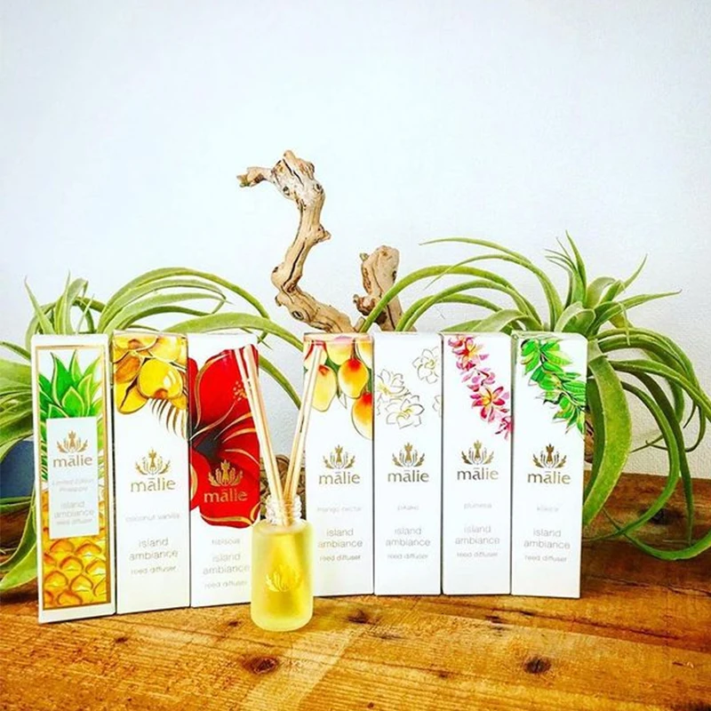 Wholesale Factory Price High Quality Fancy Essential Oil Frosted Glass Bottle Reed Diffuser for Home Decoration