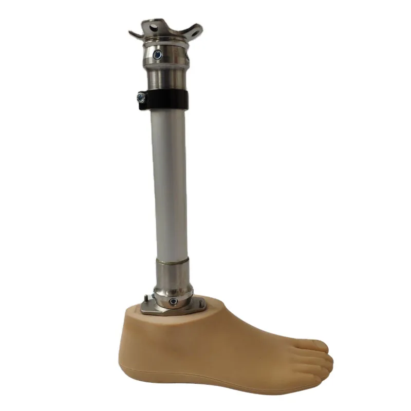 Manufacturer High Quality Artificial Limbs Leg Parts Prosthetics BK Lower limbs Prosthetic Leg
