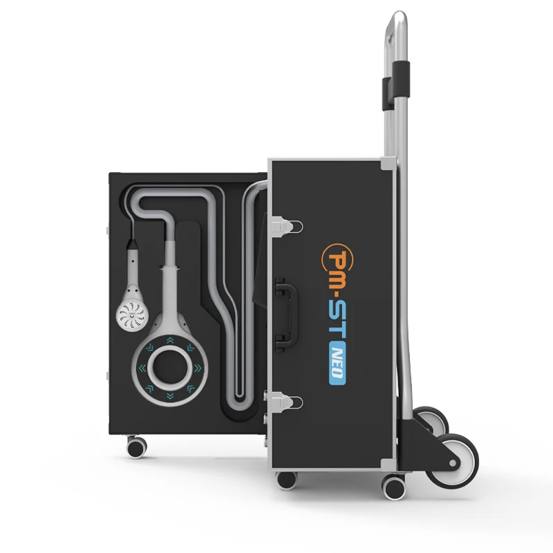 Multifunctional pmst magnetotherapy for horse arthritis treatment electromagnetic pmst neo pulse machine