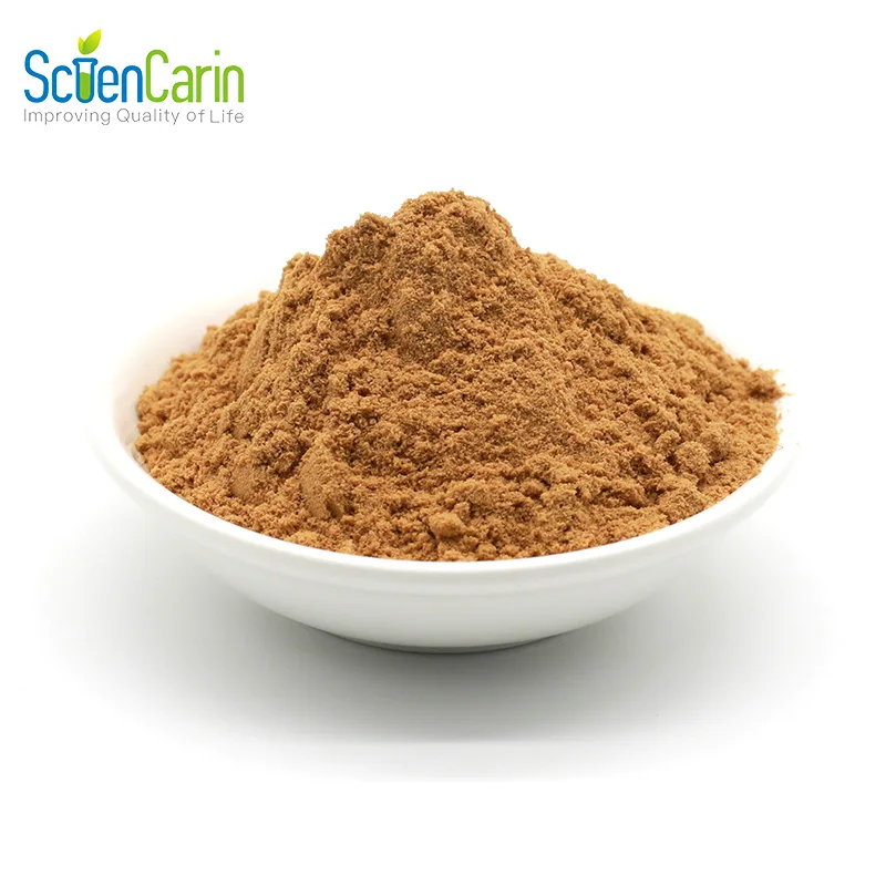 Professional Factory Supply Natural 10:1 20:1 Barley Malt Extract Powder