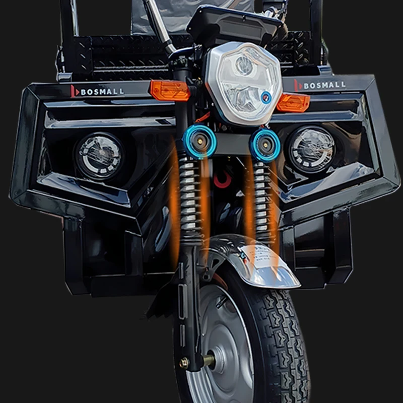 60V 1000W Three Wheels Cargo Electric Tricycle Bike With 45AH Battery For Adults