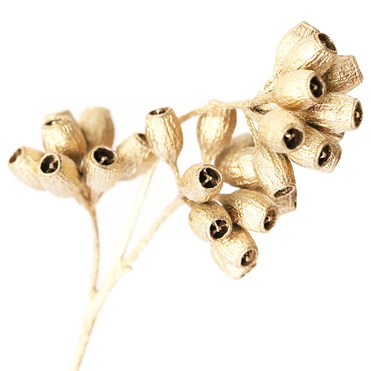 Hot Selling Product Natural Preserved Dried Eucalyptus Fruit  Home Decoration Artificial Zombie Fruit