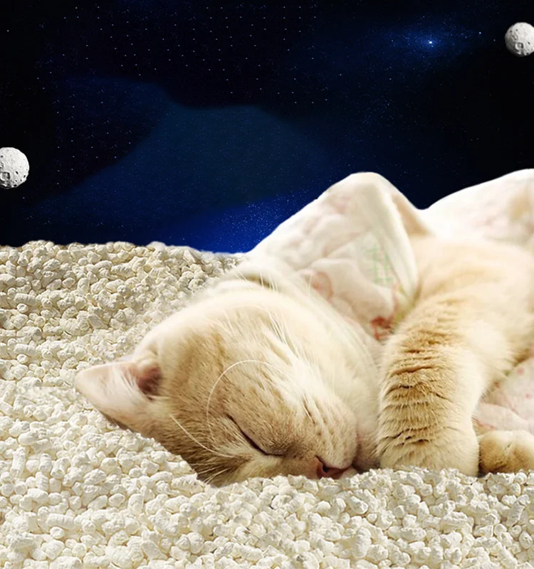 Wholesale Factory OEM ODM Raw Material Cat Litter Tofu Soya Space Cat Litter Sand