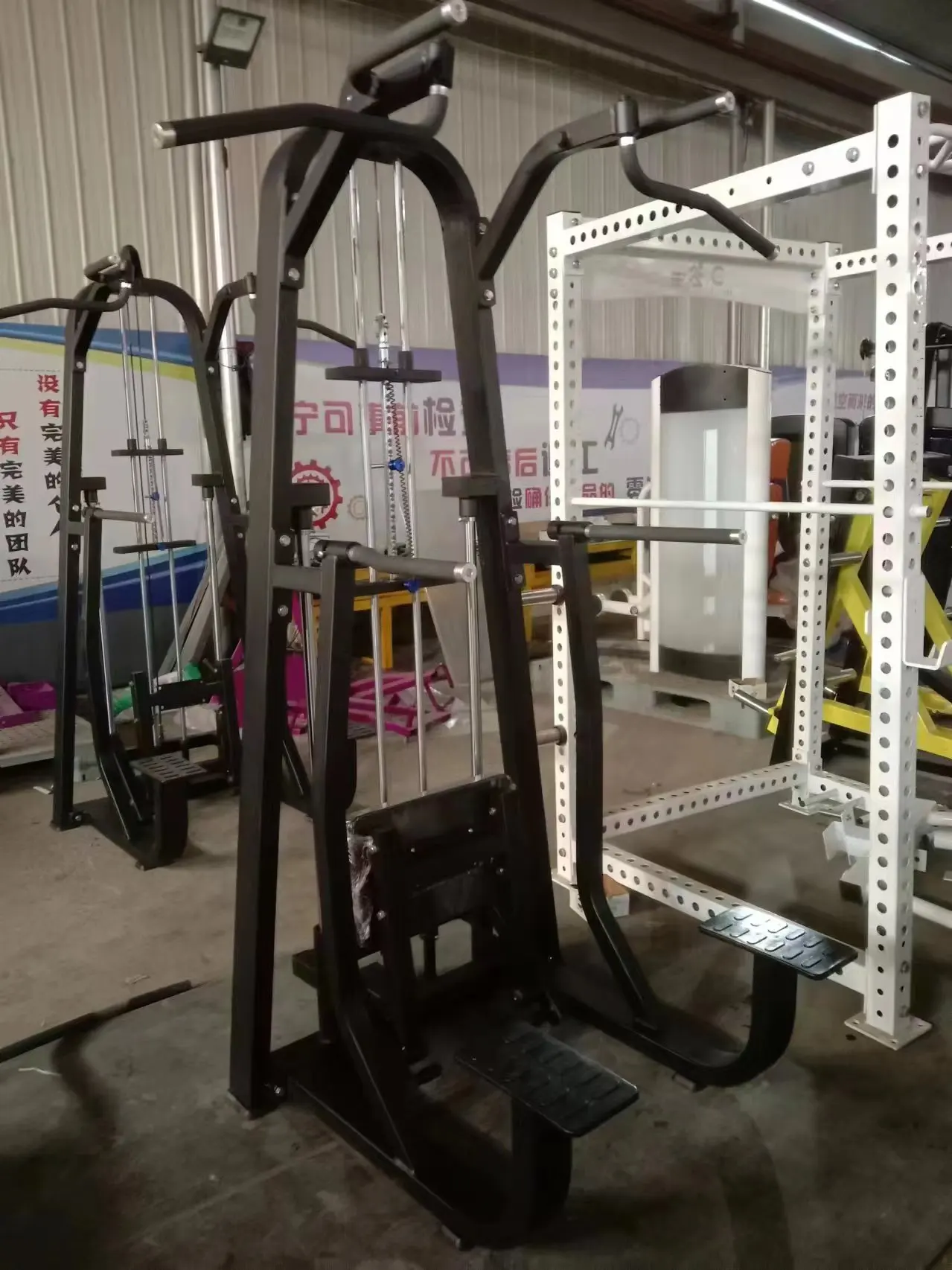 Commercial Dip Chin assist machine home plate loaded selection gym sports equipment with factory price