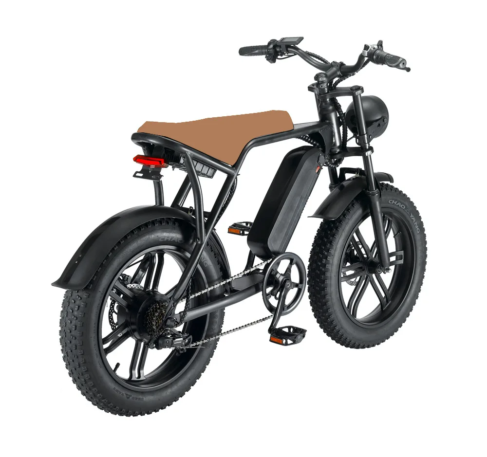 20 Inch Electric Bicycle Electric Bicycle 1000W Folding Bike Electric Bicycle