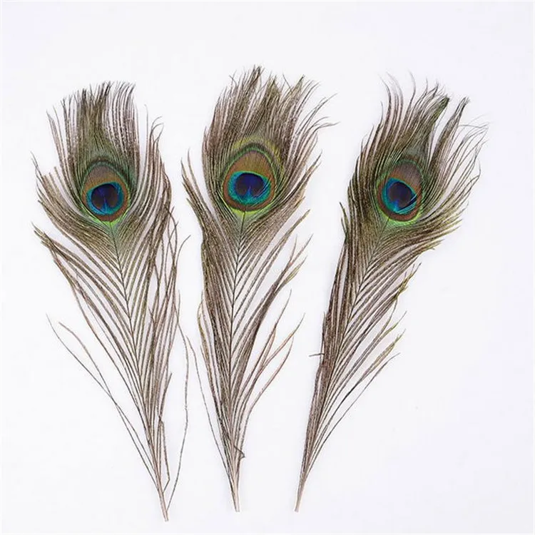 
Wholesale christmas decorative 25-30cm peacock feathers for party decoration 