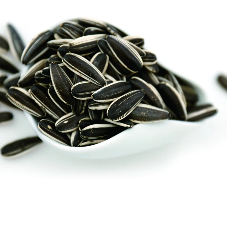 hot sale mammoth ripe Sunflower Seeds  601 distributor wholesale for eatable