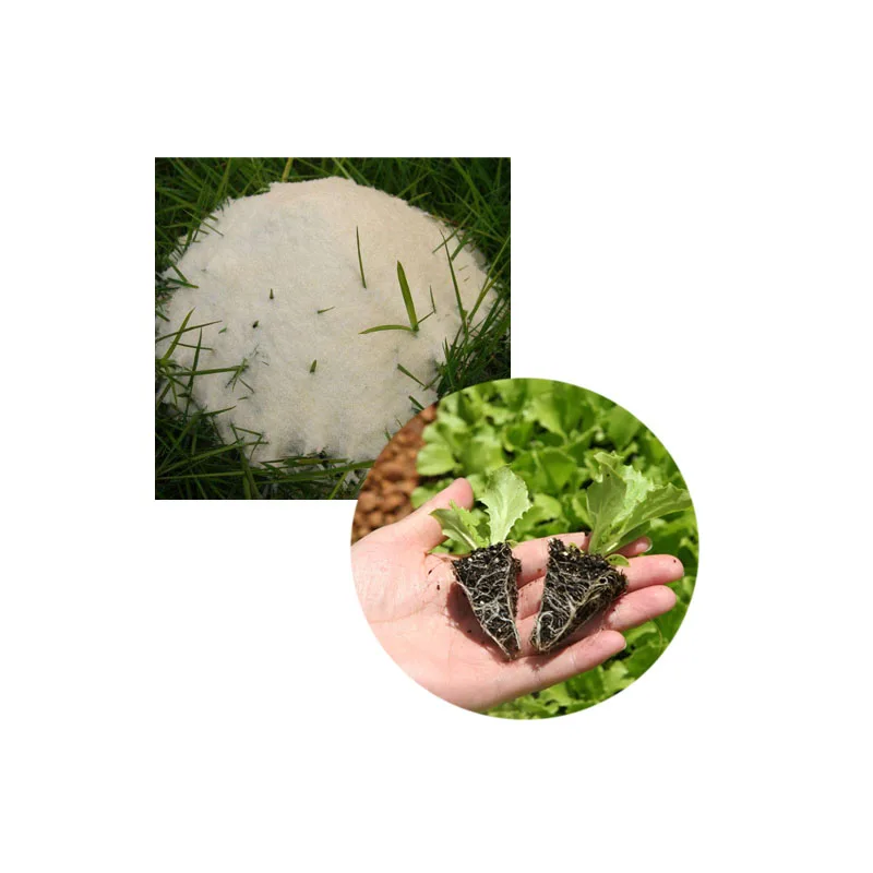 SAP potassium acrylate for transplanting absorb and release water