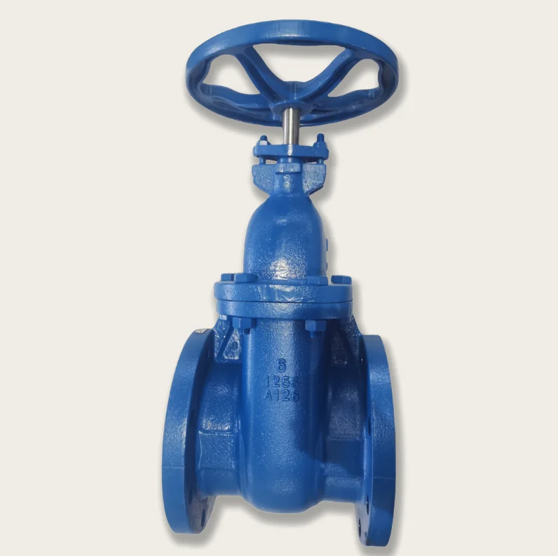 6 Inch AWWA C509 Flange Type Metal Seated Gate Valve 125LB/150LB