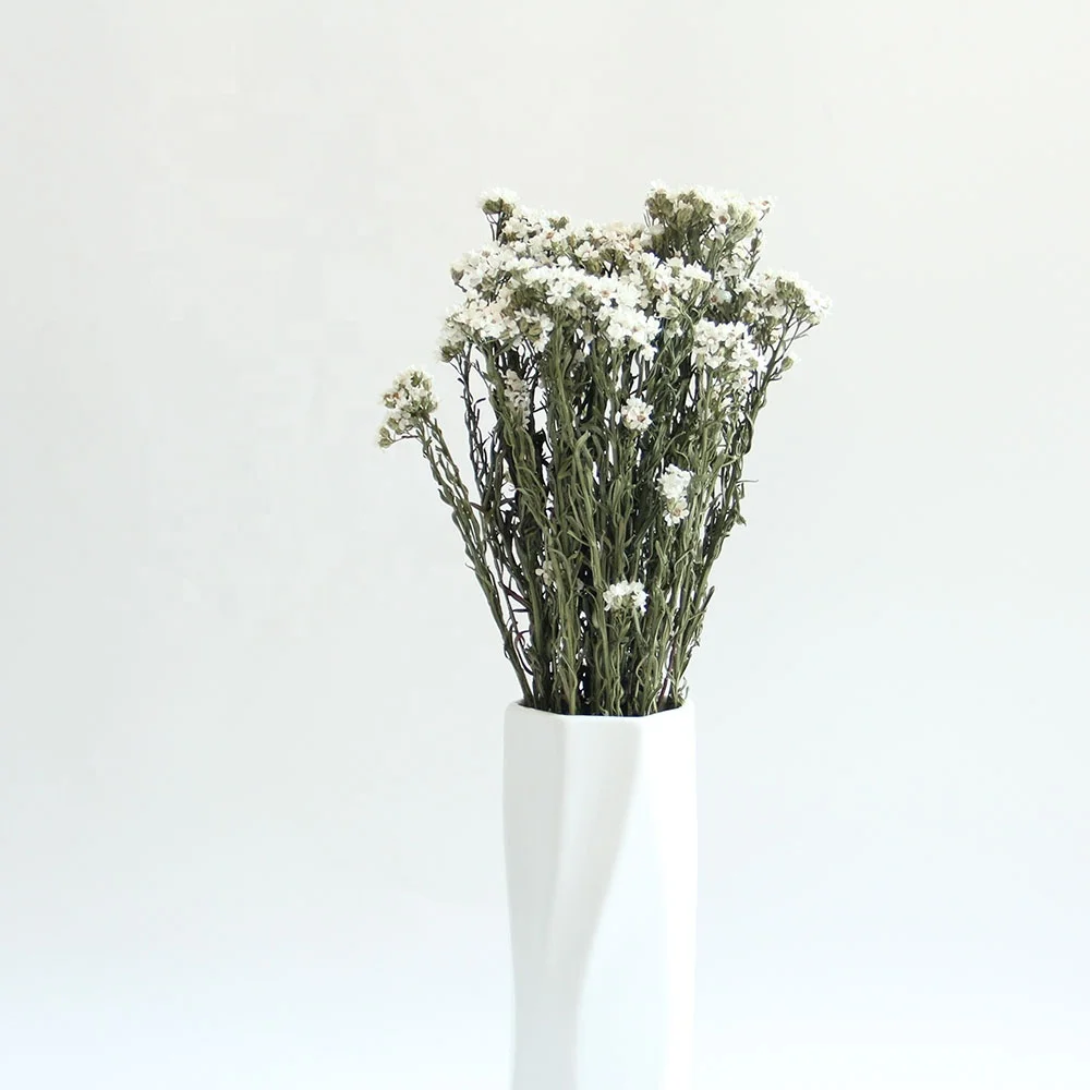 Wholesale New Arrivals Wedding Flowers Bouquets Ins Style White Jap Apricot For Home decoration or Valentines Day Gifts