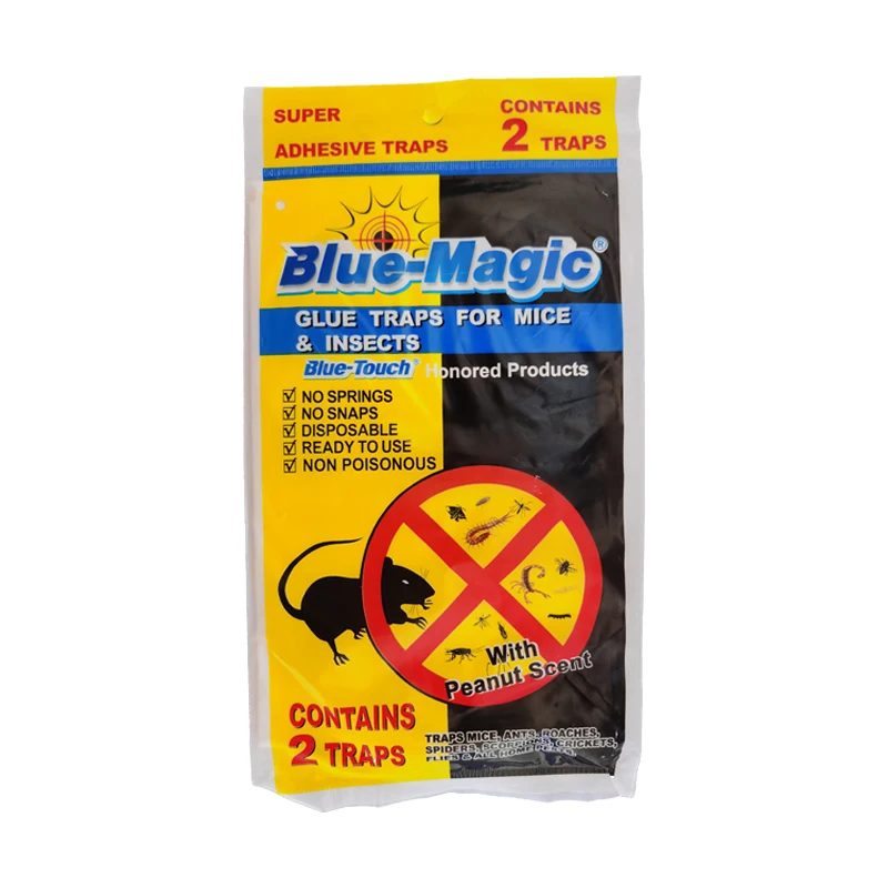 2023 paper insect glue traps
