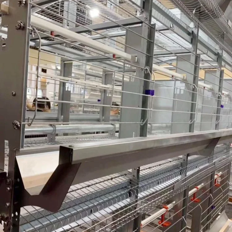 Hardware  Poultry Enclosure Netting Rabbit Run Cage Chicken Coop Iron Wire Mesh Farm Fence Roll Galvanized Welded Wire Mesh