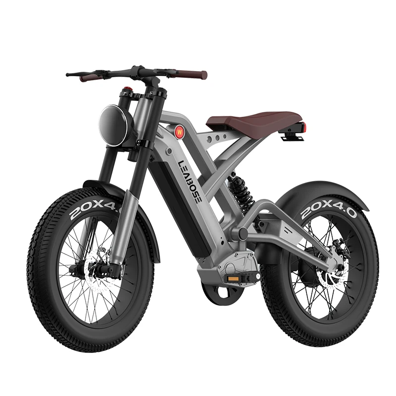 OEM 20Ah Long Range Ebike 48V 1000W Electric Fat Tire Bicycle City Bike