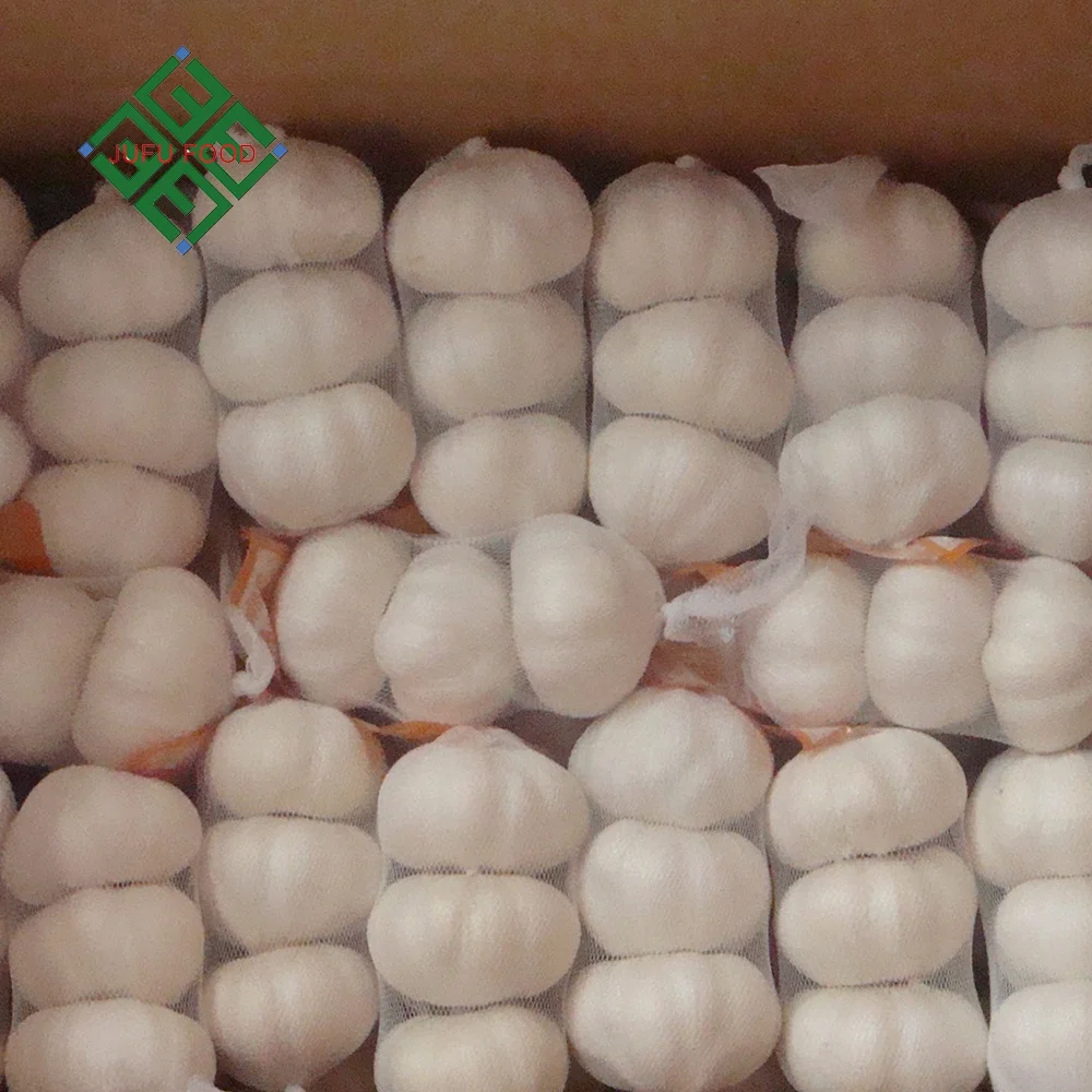 chinese garlic price / low rates fresh garlic of high quality / small packing white garlic