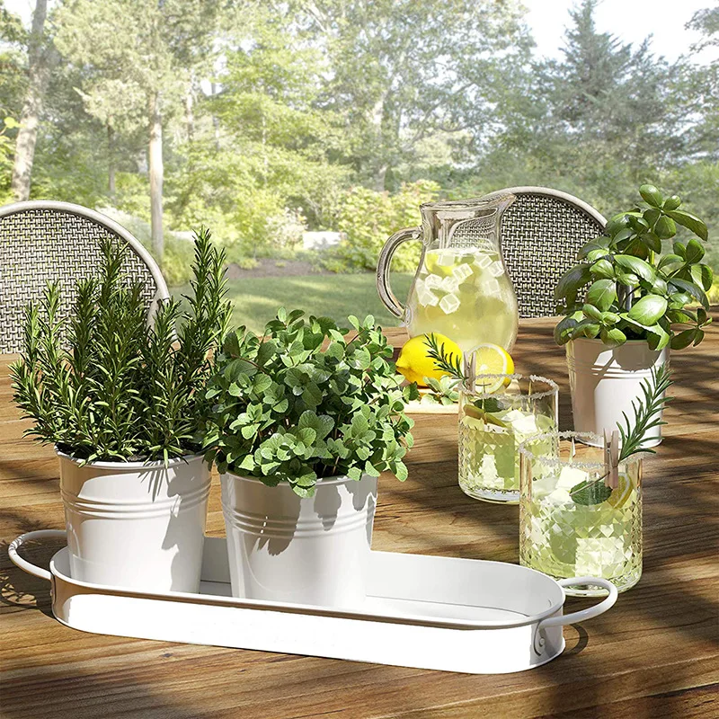 Herb pot planter set with tray for home balcony succulent potted plants