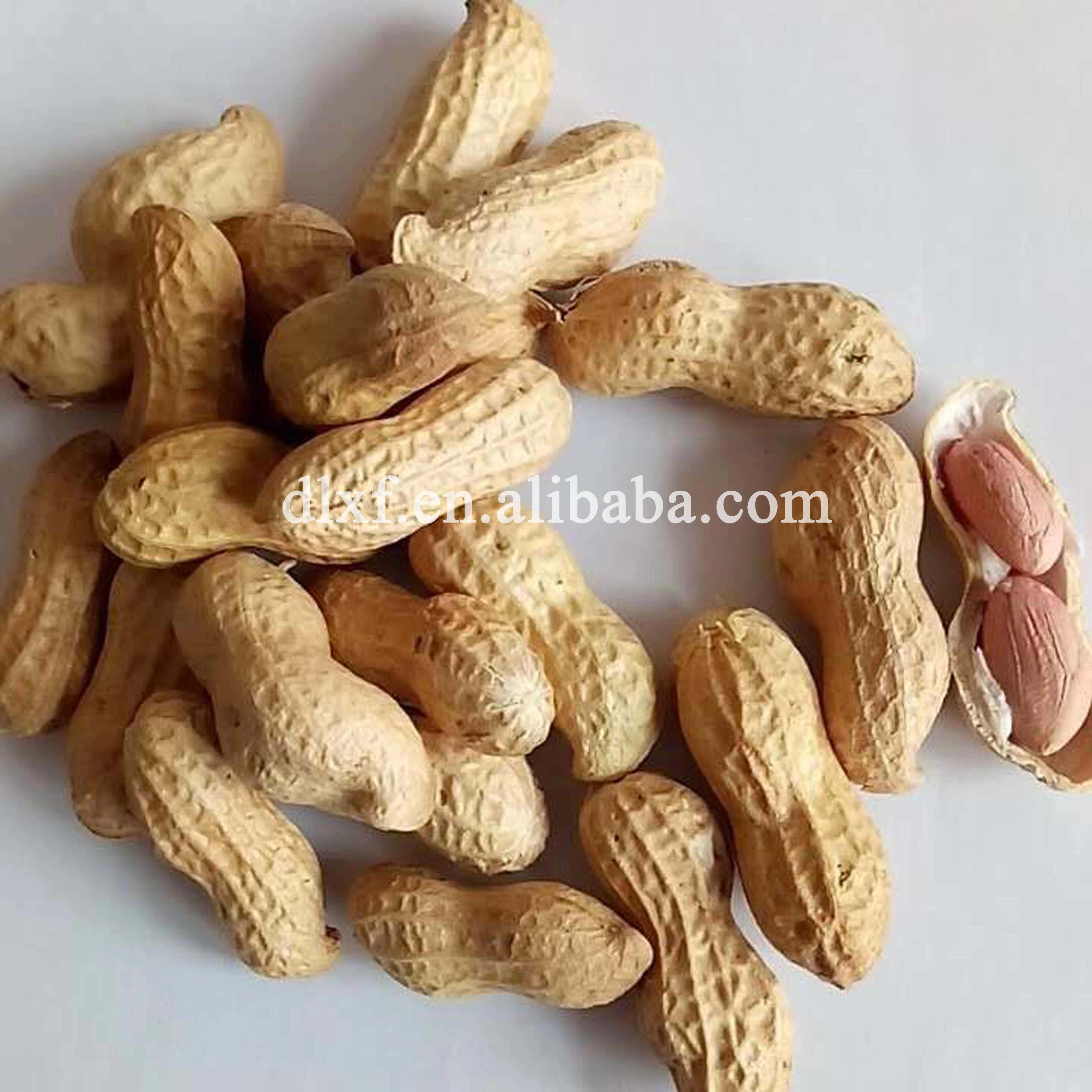 Good quality Raw Peanuts Kernel healthy food
