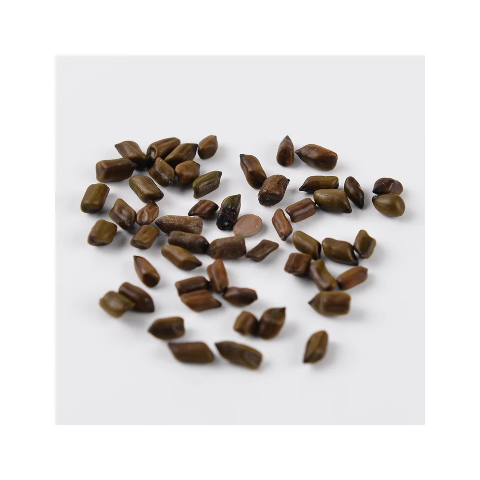 Factory Sale Eye Bright Tea Improving Poor Vision Chrysanthemum Cassia Seed Herbal Tea