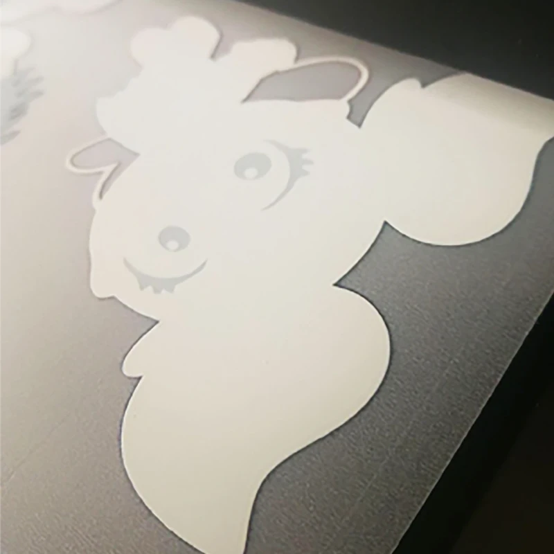 DTF PET Film sample2