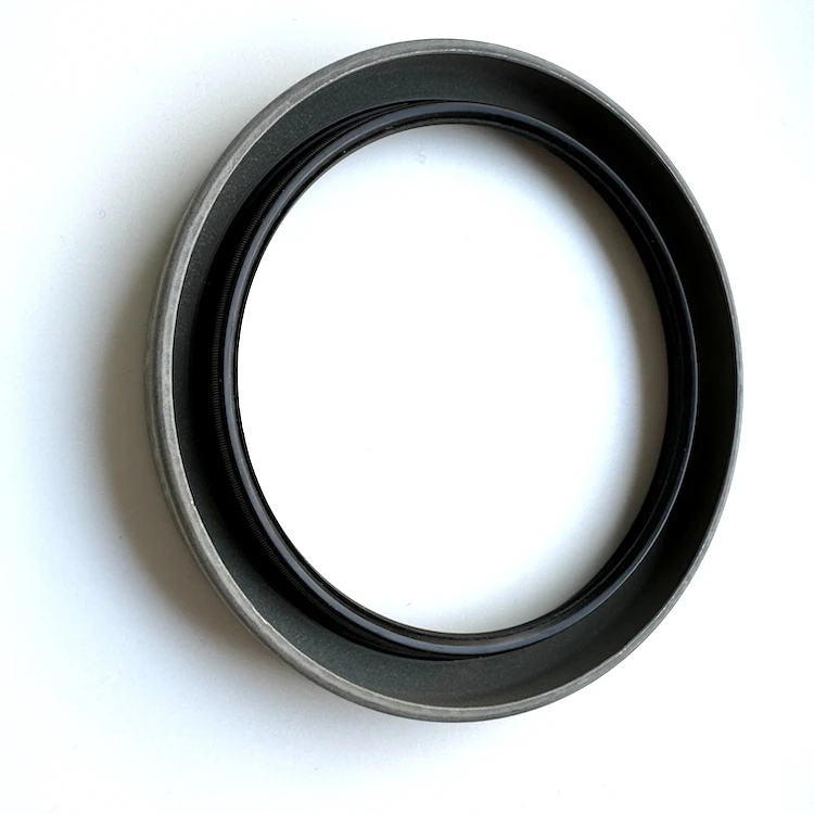 Swedish SKFf oil seal CR29865 29865 skeleton oil seals