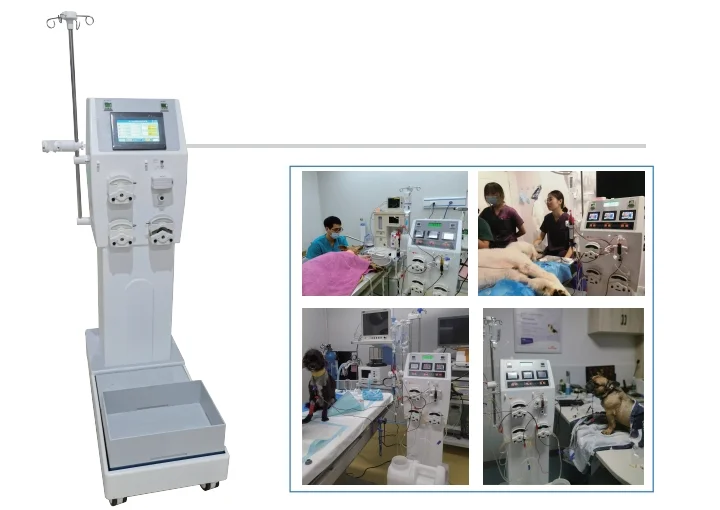 Cheap animal hemodialysis machine portable hemodialysis machine with LCD display touch buttons easy parameter setting easy learn