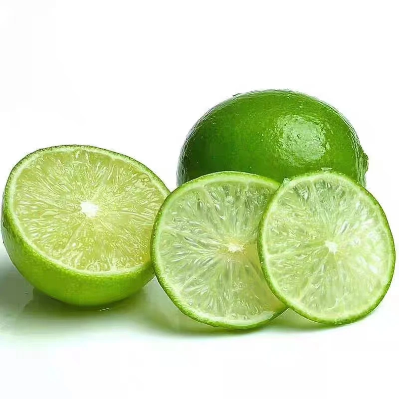 High quality natural origin good price green lemon and fresh lime