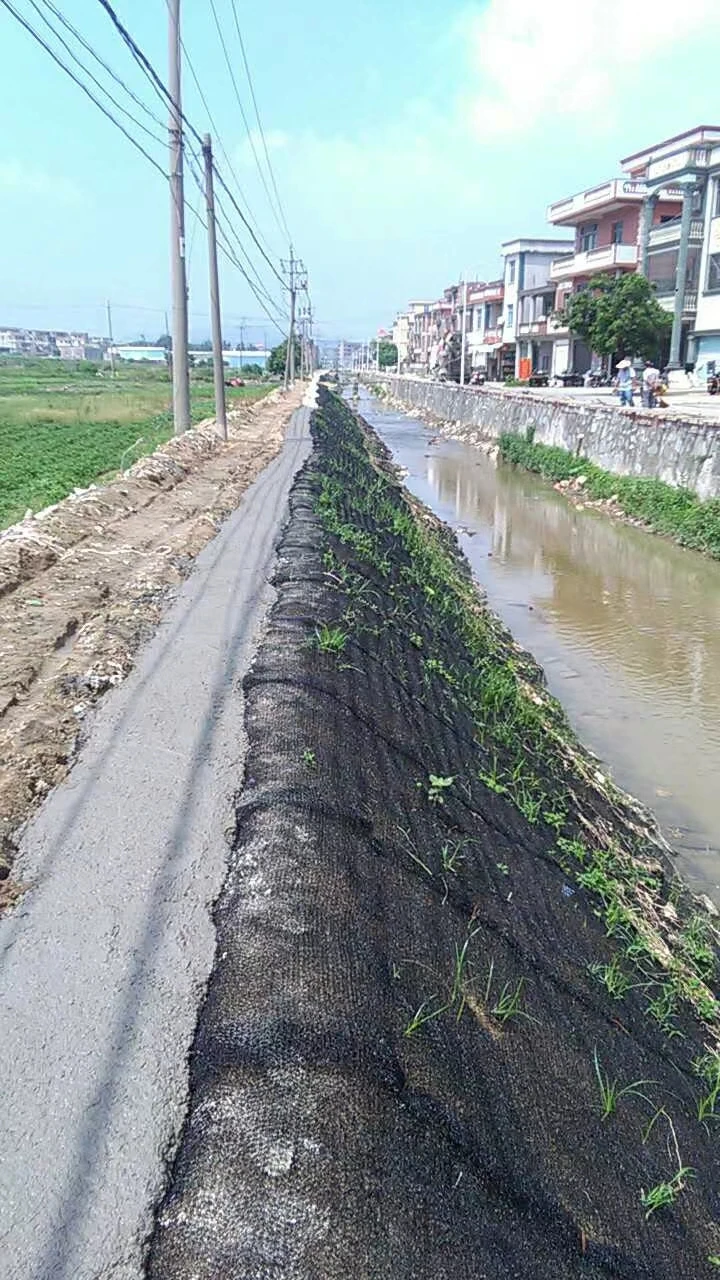 Three dimension flexible soft soil and water protection blanket erosion control mat permanent erosion control blanket