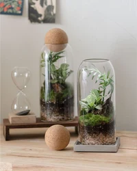 Creative terrarium hydroponic plant vase succulent pot container
