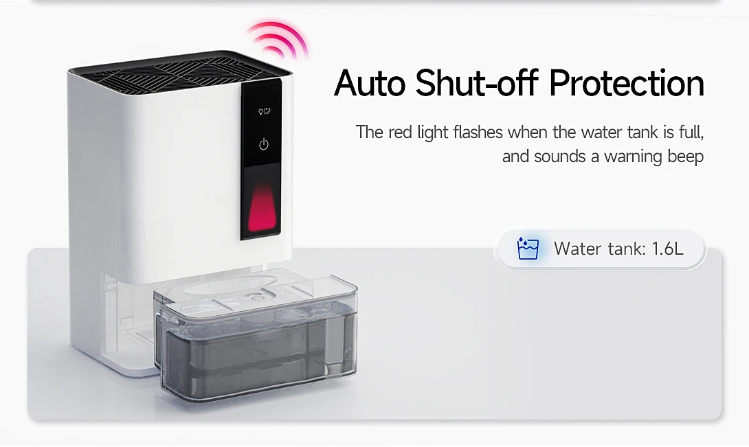 20240806-Macro-duo-_08