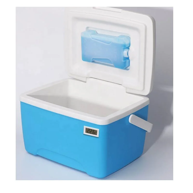 amazon hot sales Picnic Cooler Ice Bag Thermo Refrigerator Fresh Keeping camping food 8L storage PU cooler box