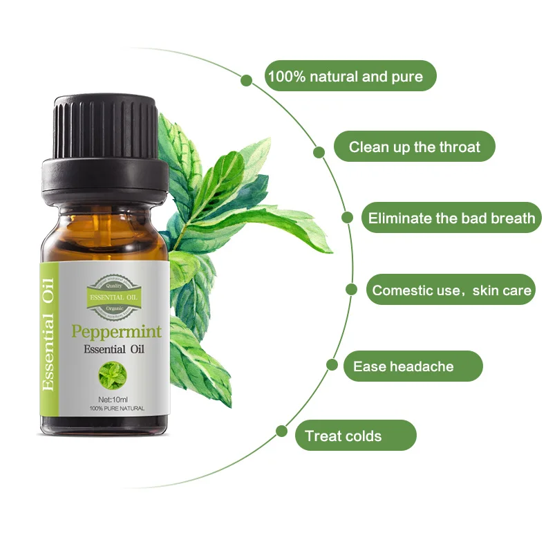 100% Pure Natural Plant Extracted Massage Oil Aromatherapy Peppermint Essential Oil With Wholesale Price