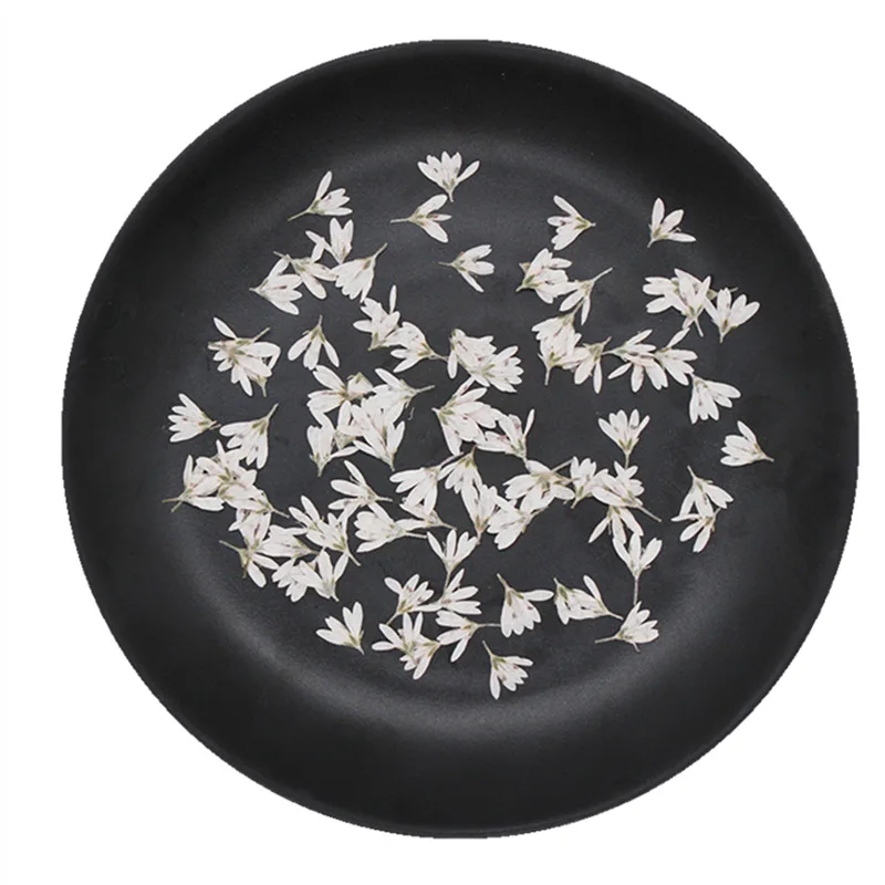 Real Dried Pressed Flower Little white flower, tiger tail grass Dried Flowers