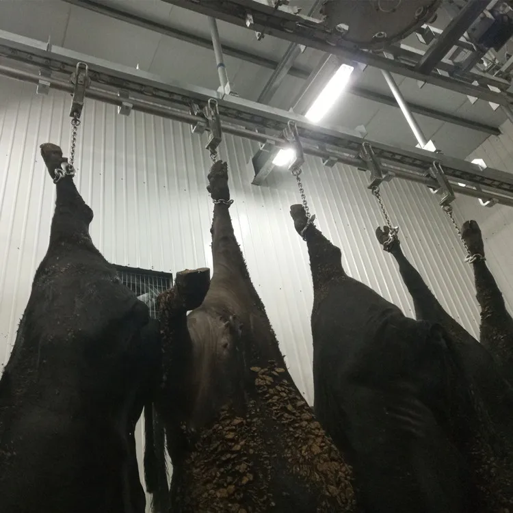 Обработка рассады крупного рогатого скота, убойная линия говядины