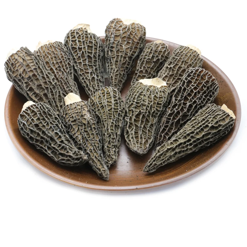 High quality Natural Grow Wild Morel Mushroom Dry Wholesale Price Morel Mushroom