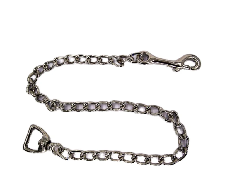 Fashion Head Necklace Pet Supplies Chain Accessories Luxury Dog Collar Pet Metal Chain Link Chains Pets