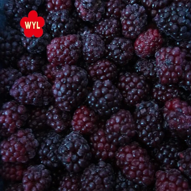 Organic IQF Frozen Blackberries: Bulk Wholesale Pulp From China