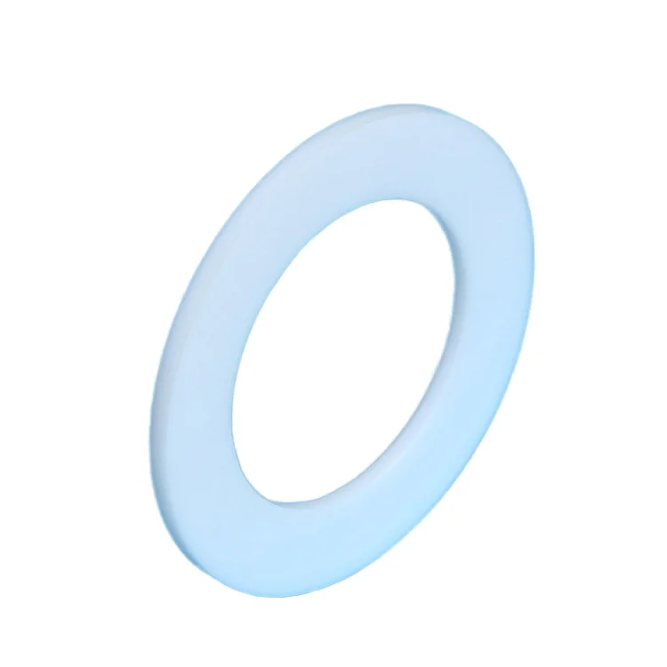 Mechanical Seal Flange PTFE Gasket