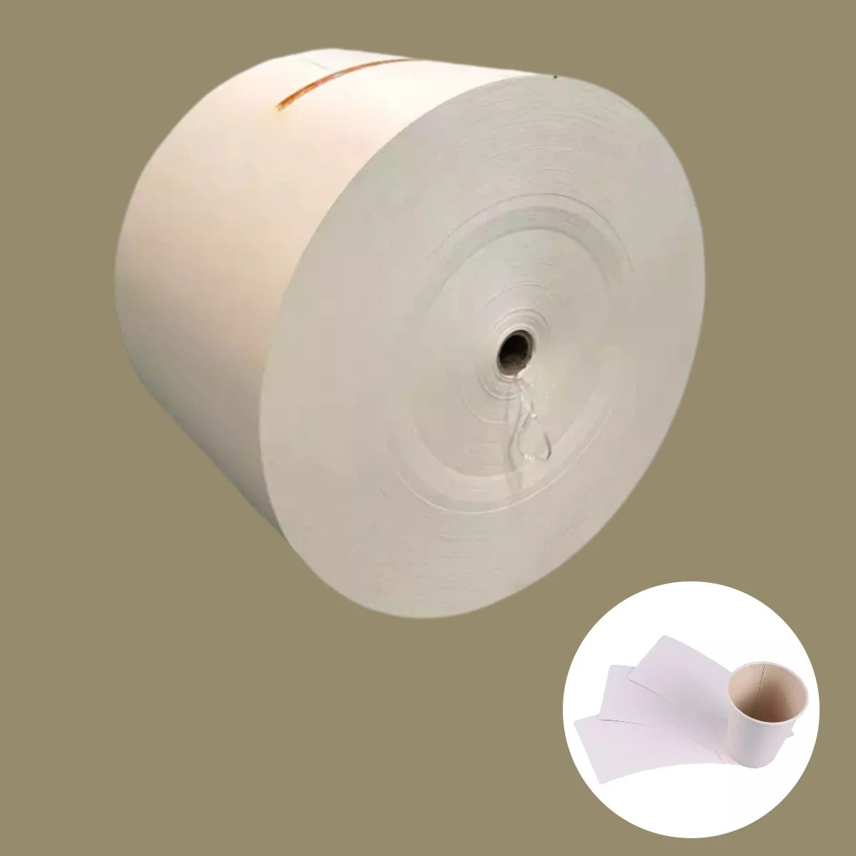 Factory Supplier PLA Coated  Paper In Roll for Food Packaging Container paper cup raw materials pe coated paper cup  roll