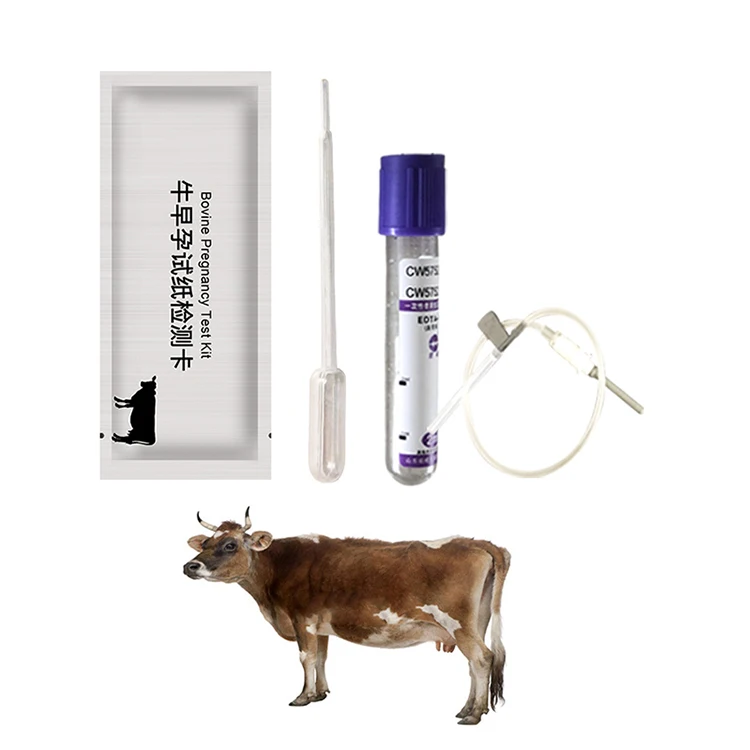 cow pregnancy test strip kit pregnancy test cows animal pregnancy test kit cassette for Cow