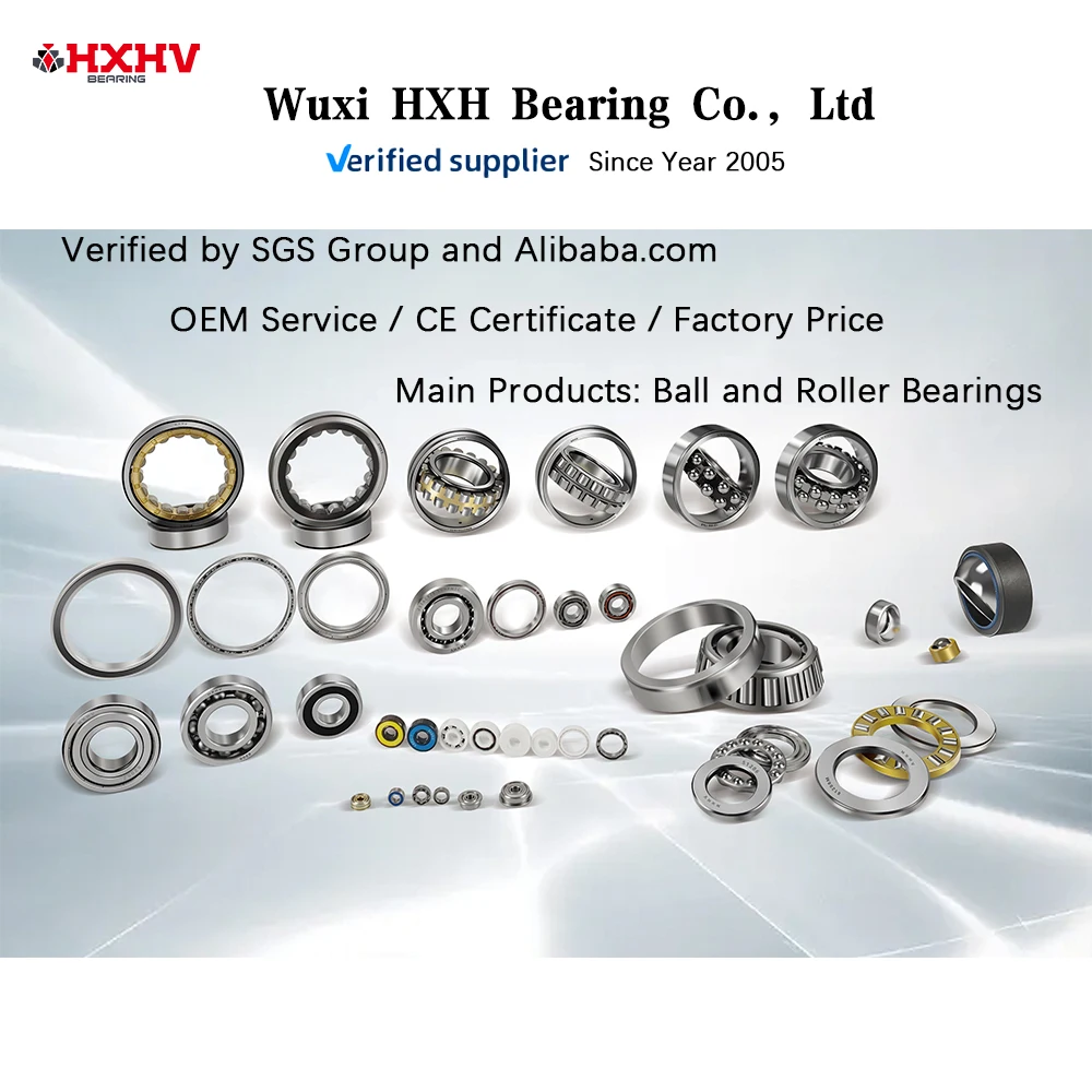 Supplier 170mm 6022 6122 6219 6316 16022 62219 62316 63316 hxhv black ceramic bearings