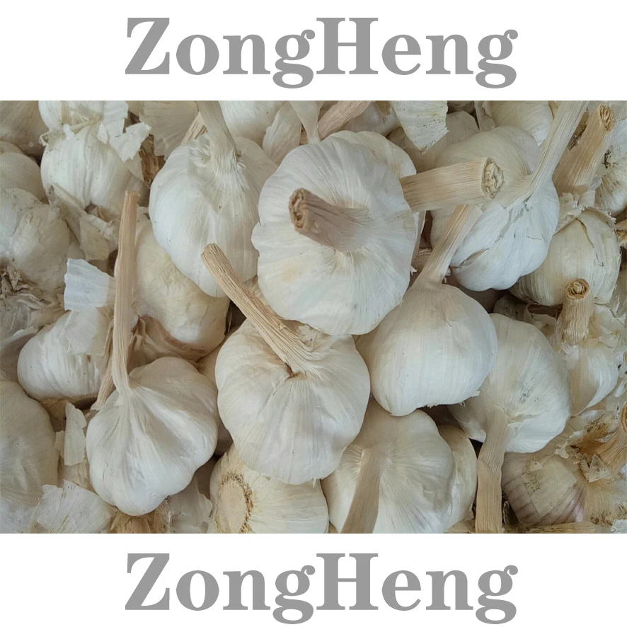 
2020 wholesale cheapest price china garlic 