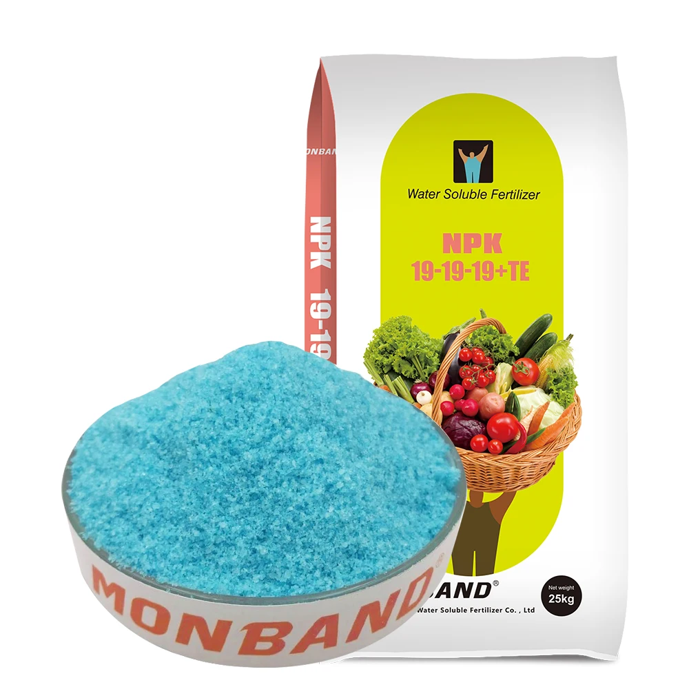Water Soluble fertilizer npk 19 19 19 compound fertilizerfoliar fertilizer balanced fertilizer for agriculture flower crops