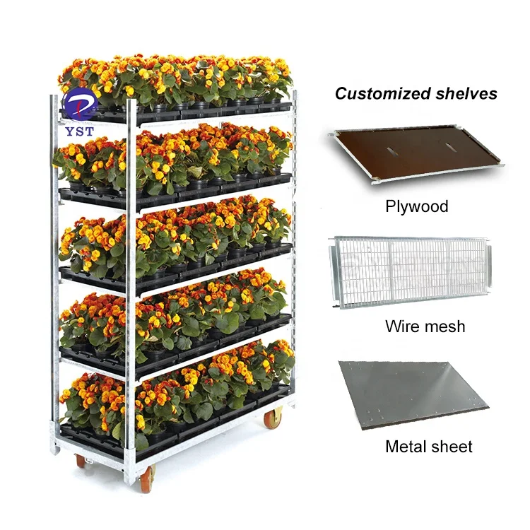 Maximize Space And Improve Logistics Customizable Trolly Shelf For Mushroom