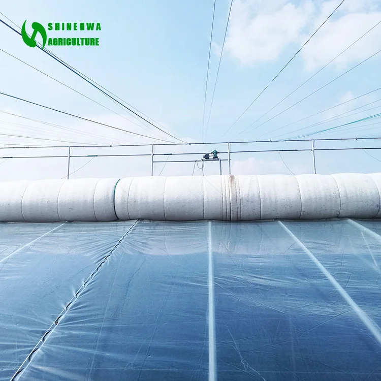 Film large span solar energy saving passive tomato greenhouse with soilless culture