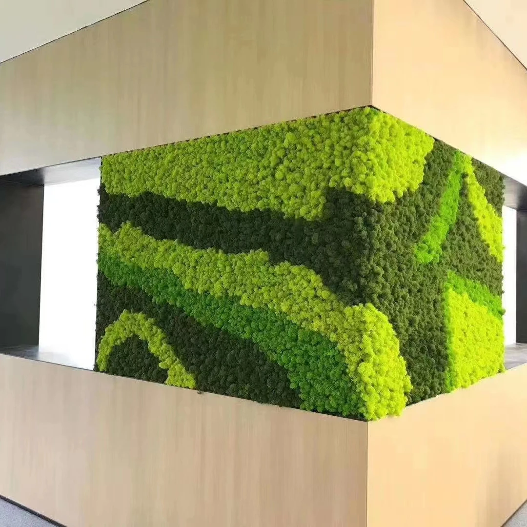 Green preserved moss wall Custom vertical garden hedge fence wall artificial green plant wall