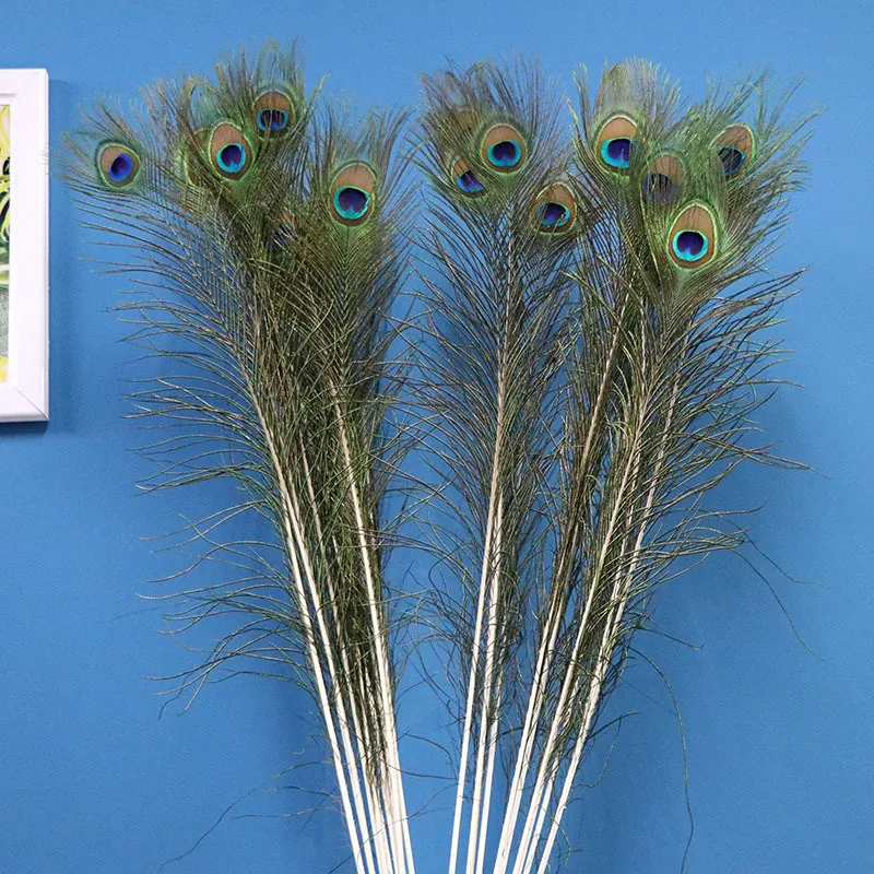 High Quality Wholesale Feather Crafts Supplier Nature Dyed Peacock Feather