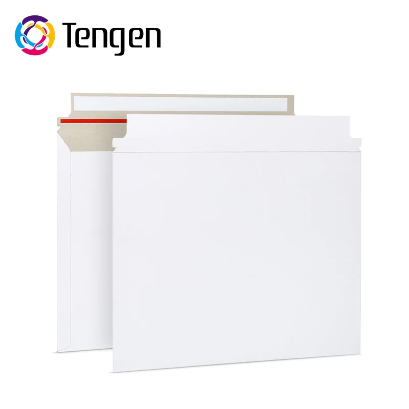 DHL courier document envelopes