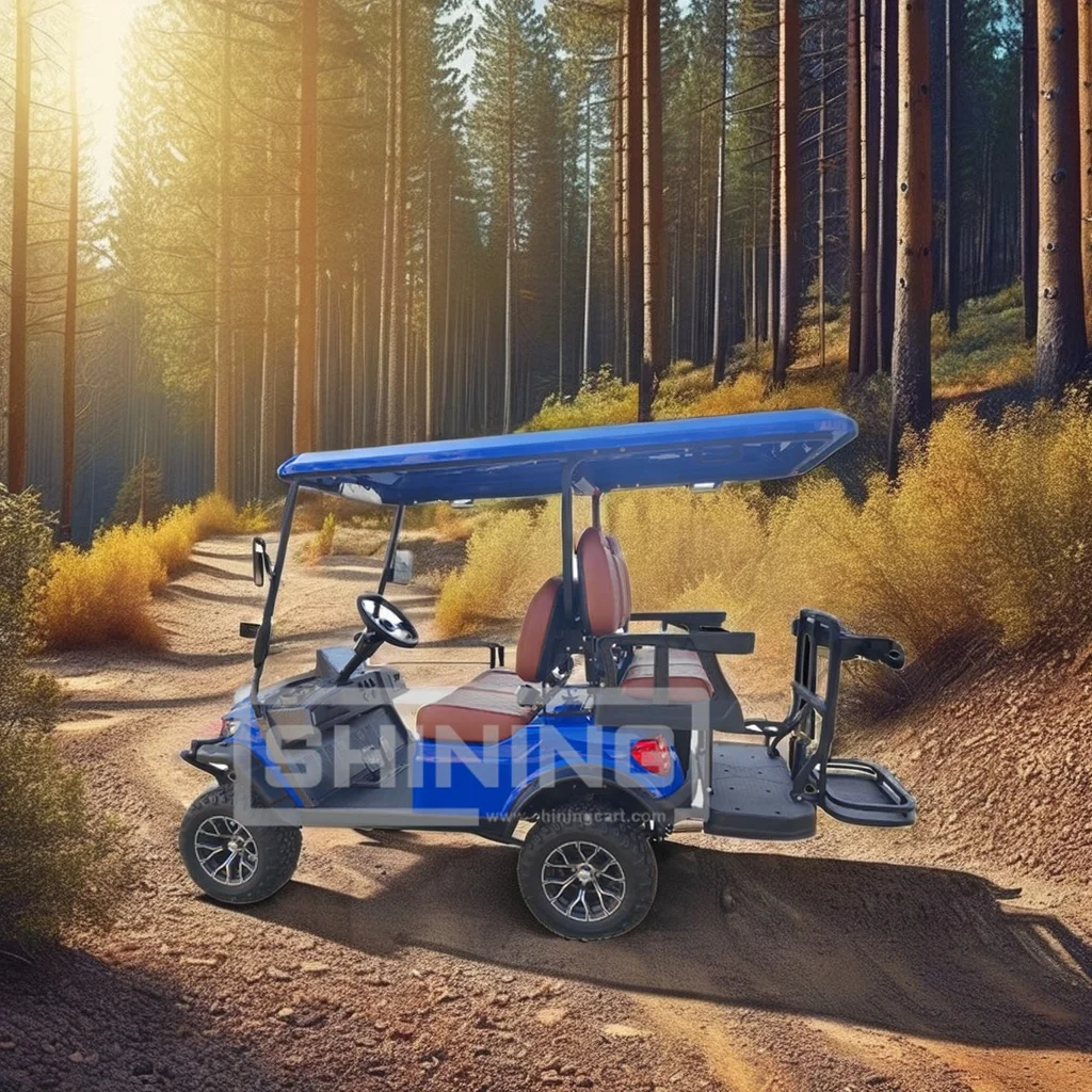 Shining Brand 4 seats electric golf carts universal enclosure with roof rack golf cart